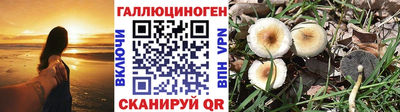 Псилоцибиновые грибы Magic Shrooms  Ак-Довурак 